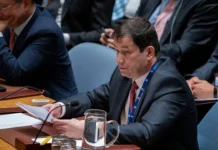 Дмитрий Полянский: Запад молчит вокруг теракта против генерала dmitrij polyanskij zapad molchit vokrug terakta protiv generala-obzone-su-0