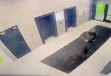 Эксперт ФСБ Попов о промахах киллера и уроках для безопасности ekspert fsb popov o promahah killera i urokah dlya bezopasnosti-obzone-su-0