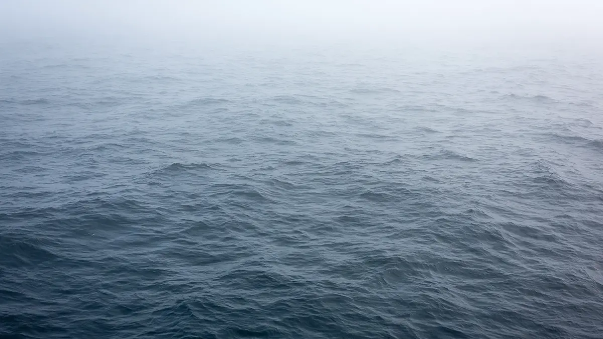 В порту Александрии произошло ЧП с грузом для АЭС, есть погибший