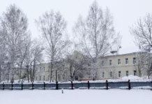 Минздрав и Роспотребнадзор контролируют грипп А в Прокопьевске minzdrav i rospotrebnadzor kontroliruyut gripp a v prokopevske-obzone-su-0