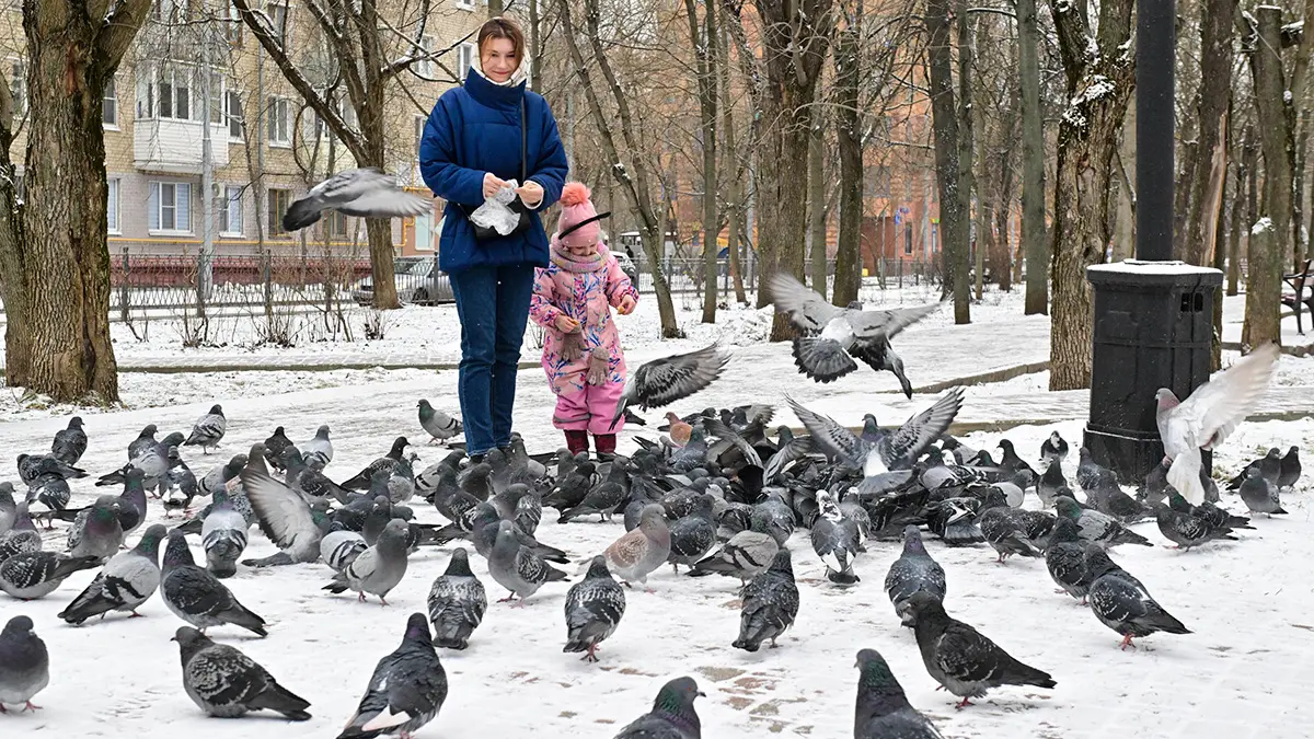 Погода в Москве 17 февраля 2026 года