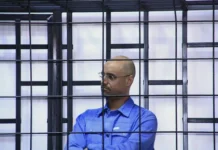 Саиф Каддафи: роль ПНЕ Ливии в событиях его гибели saif kaddafi rol pne livii v sobytiyah ego gibeli-obzone-su-0