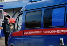 СК РФ раскрывает дело о защите детей в Калининграде sk rf raskryvaet delo o zashhite detej v kaliningrade-obzone-su-0