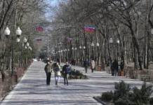 strannaya istoriya fonda svoim s minenergo zaporozhskoj oblasti-obzone-su-0