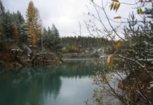 Вода России Свердловской области объединяет жителей и Минприроды voda rossii sverdlovskoj oblasti obedinyaet zhitelej i minprirody-obzone-su-0