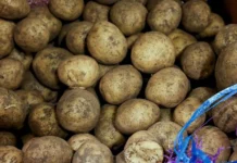 Цены на картофель в России сравнили с Турцией, Индией, КНР и Бразилией czeny na kartofel v rossii sravnili s turcziej indiej knr i braziliej-obzone-su-0