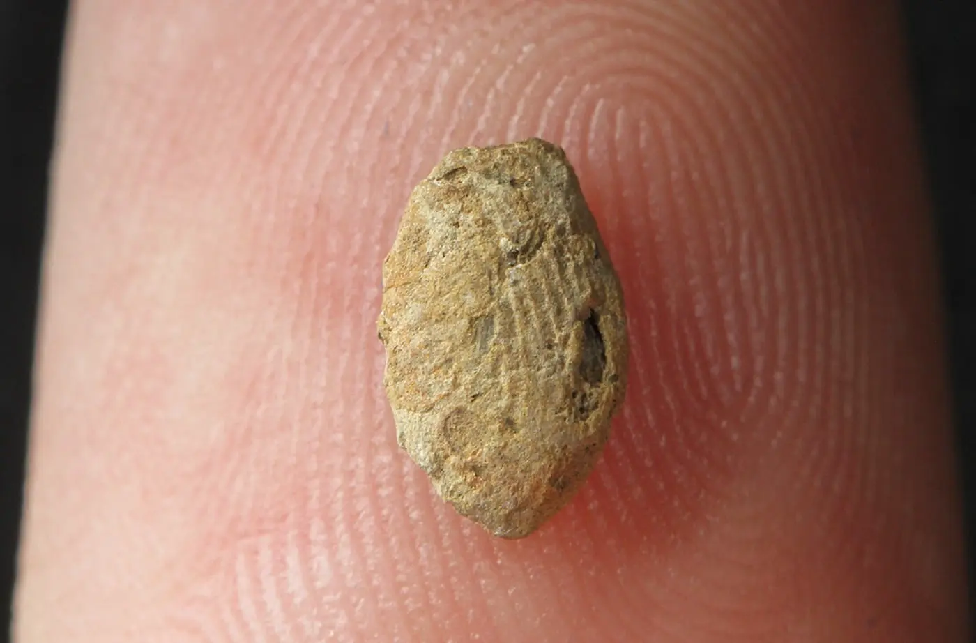 Дети Натуфийской культуры 15000 лет назад создавали охровую бижутерию-0