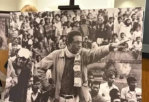 Екатеринбургский фестиваль индийского кино раскрывает новые горизонты ekaterinburgskij festival indijskogo kino raskryvaet novye gorizonty-obzone-su-0