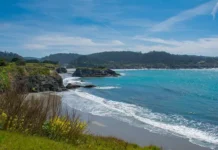 hrabrost dzhejmsa istmana perezhivshego napadenie akuly v kalifornii-obzone-su-0