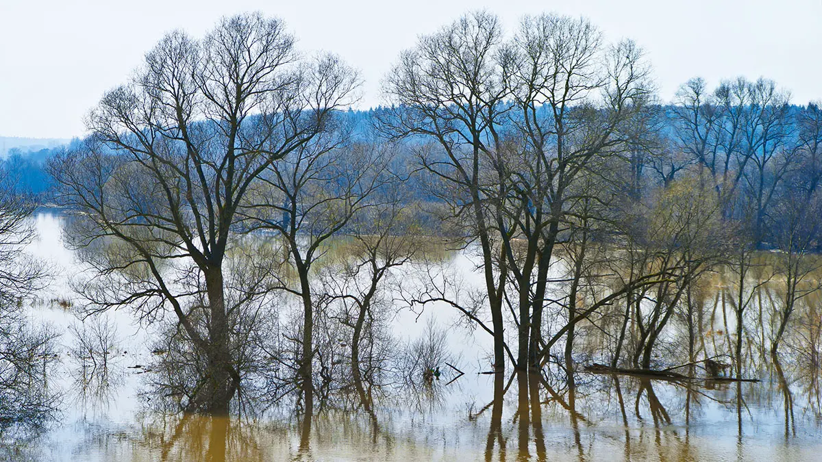 Синоптик Леус рассказал, какие столичные водоемы скоро выйдут из берегов