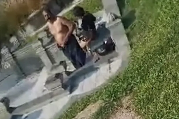 Вводная картинка