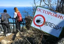 Роспотребнадзор предупреждает о росте активности клещей весной rospotrebnadzor preduprezhdaet o roste aktivnosti kleshhej vesnoj-obzone-su-0