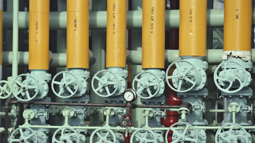 Джедович-Ханданович: Сербия продлила запрет на экспорт топлива до 2 апреля