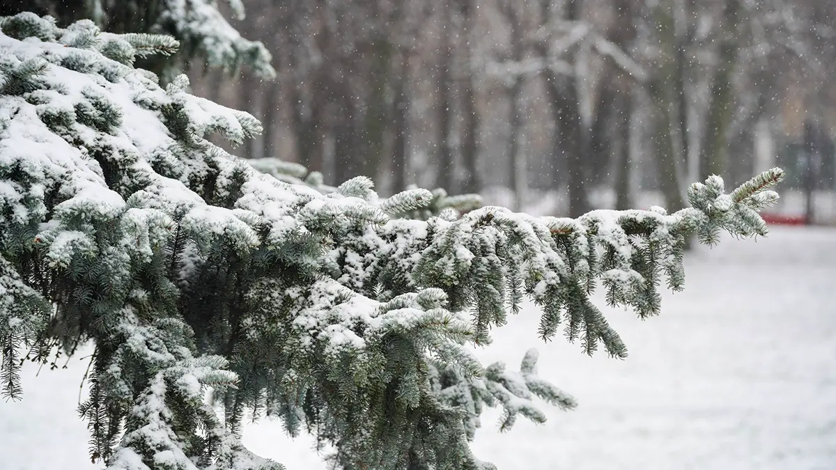 Водителей в Москве призвали использовать общественный транспорт в связи с непогодой