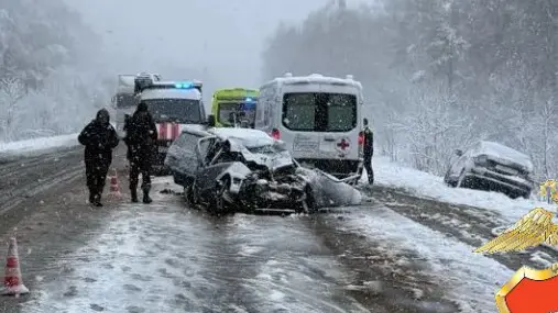 Стали известны подробности ДТП с двумя погибшими на трассе Луховицы — Зарайск