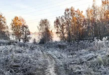 Москву ждут ночные заморозки до -3 градусов 25 апреля moskvu zhdut nochnye zamorozki do 3 gradusov 25 aprelya-obzone-su-0