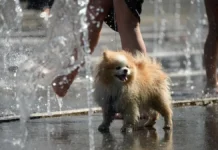 Прогноз погоды на майские праздники в Москве от Ильина prognoz pogody na majskie prazdniki v moskve ot ilina-obzone-su-0