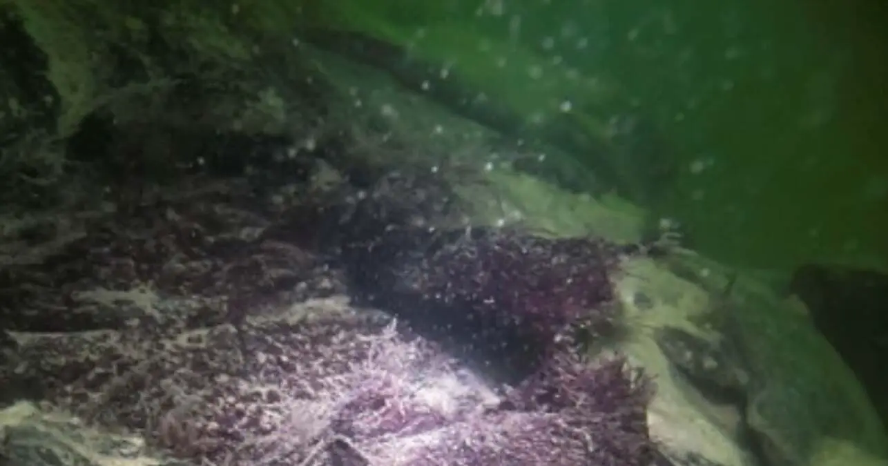 Сокровища Сан-Джорджо и Дрейка найдены в Кадисском заливе-0