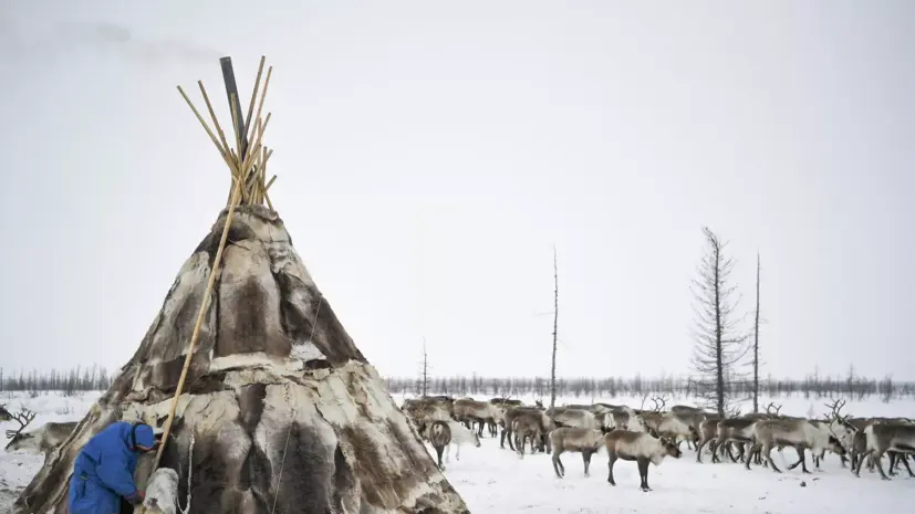 Политолог Сипров высказался о вкладе КМН в культуру страны