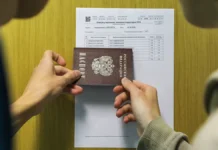 Гриб и Снегуров о пересдаче ЕГЭ и будущих возможностях grib i snegurov o peresdache ege i budushhih vozmozhnostyah-obzone-su-0