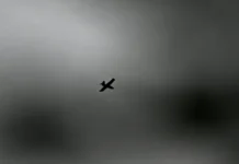 hezbolla atakovala dronami izrailskij zheleznyj kupol v dzhal alalam-obzone-su-0