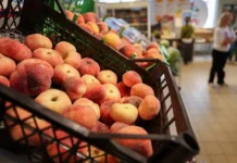 anna fedyunina iz vshe oczenila import fruktov iz armenii-obzone-su-0