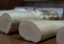 ФТС пресекла вывоз фрагментов бивней моржа весом почти 7 кг fts presekla vyvoz fragmentov bivnej morzha vesom pochti 7 kg-obzone-su-0