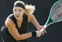 Российские теннисистки массово меняют спортивное гражданство rossijskie tennisistki massovo menyayut sportivnoe grazhdanstvo-obzone-su-0