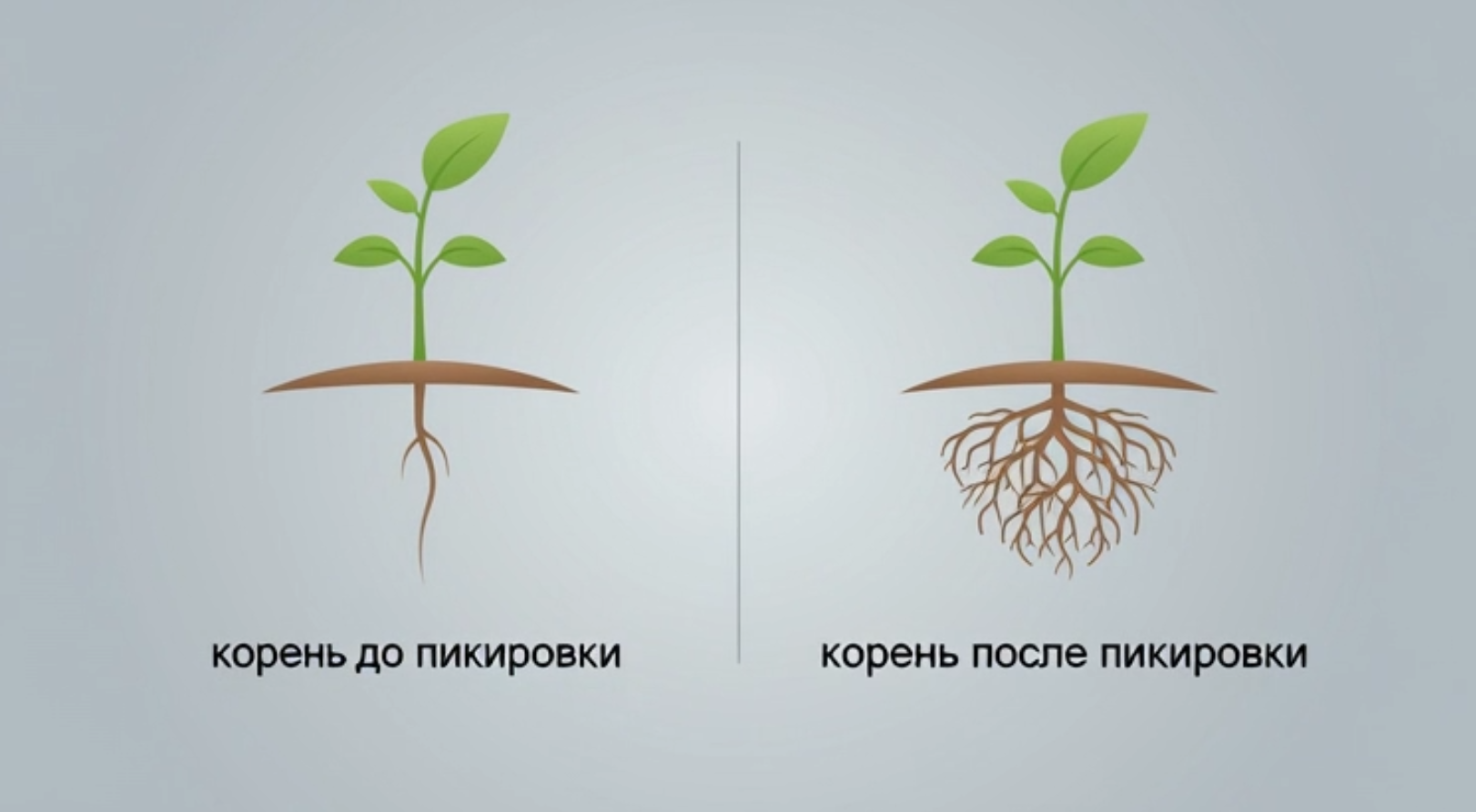 Ханойский Шоп-Тур: От Рынков до Секретных Лавок