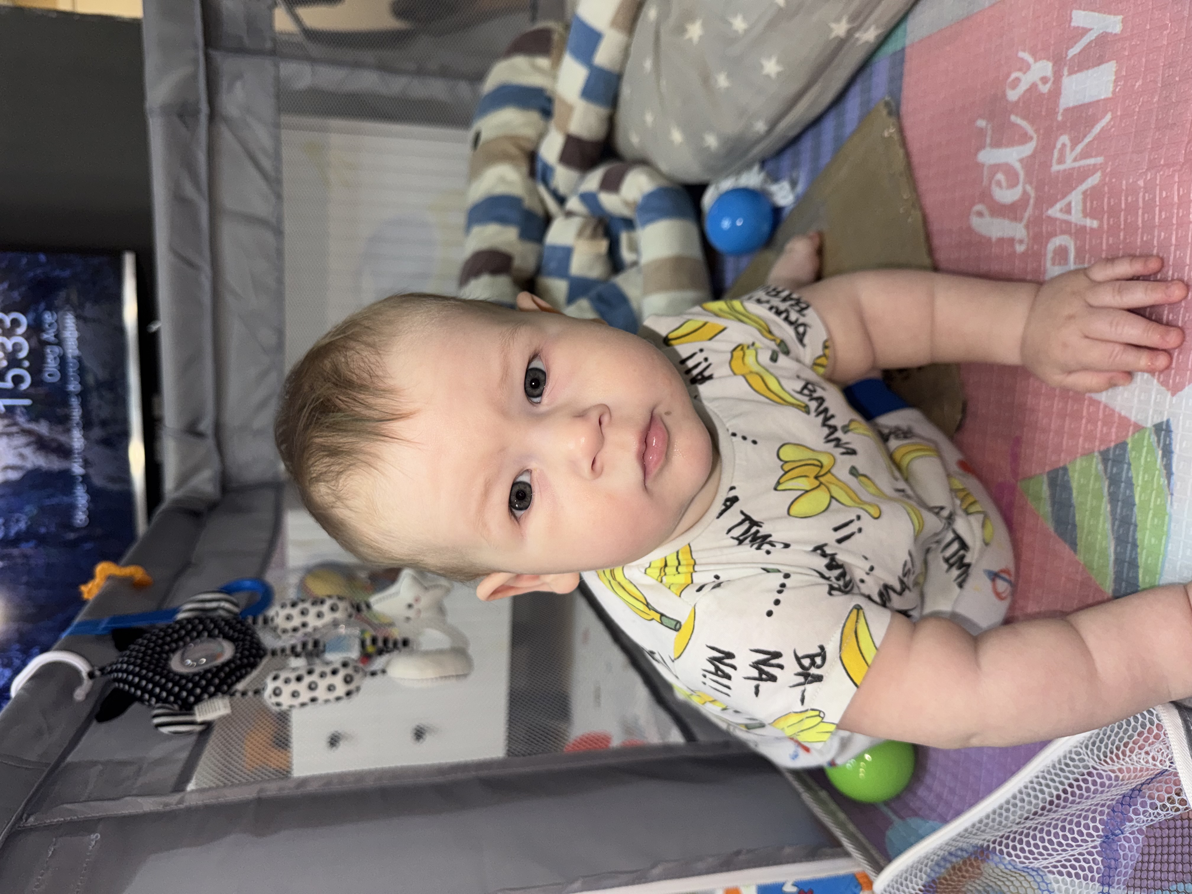 Mama Chicken — child photo for stylization