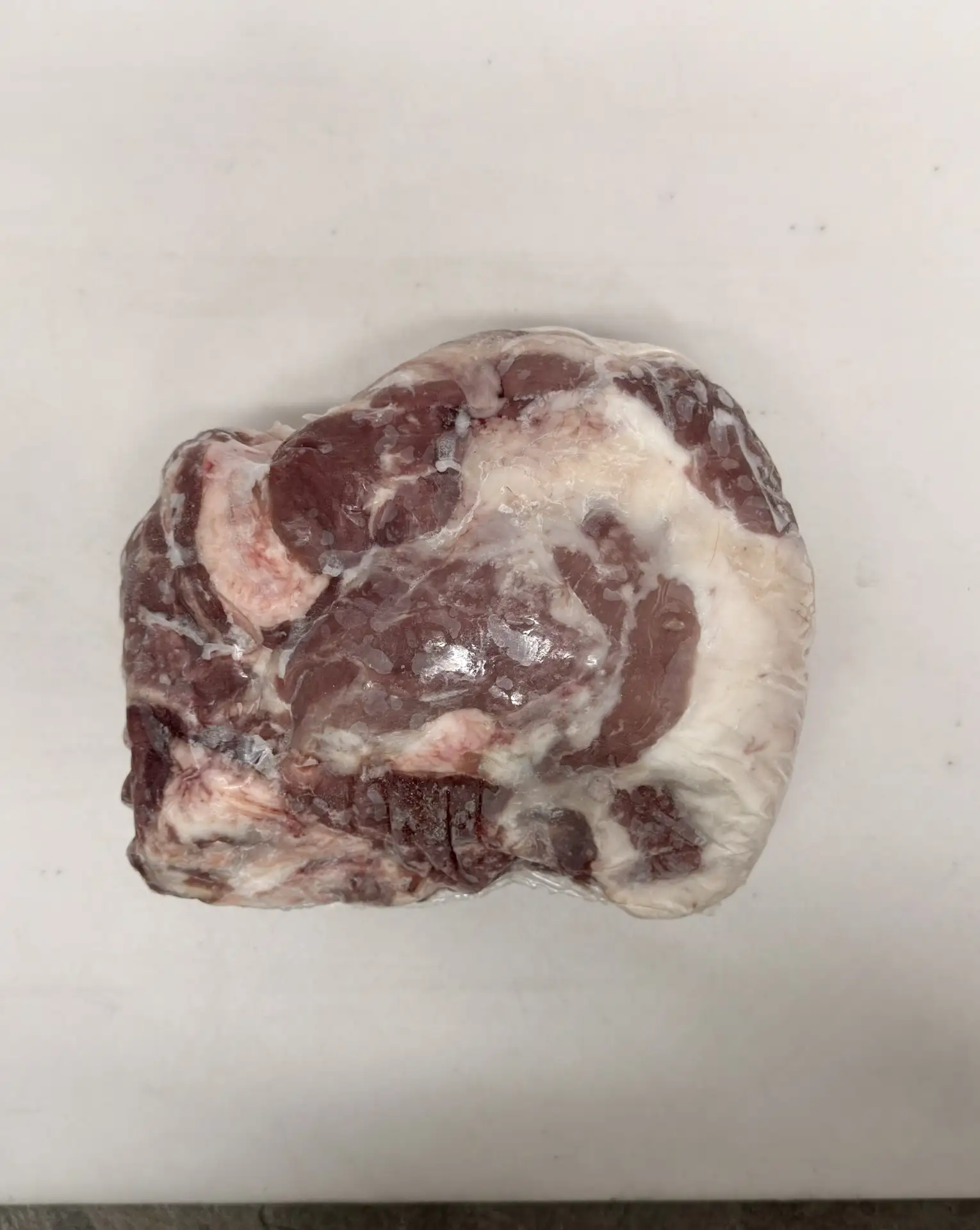 Reference image 1