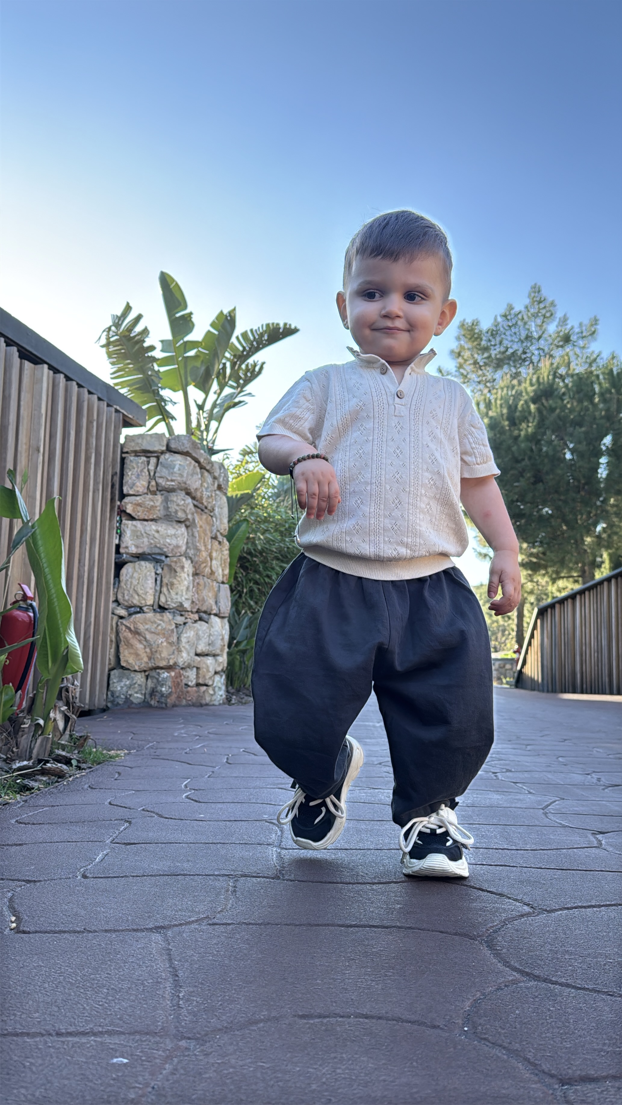 Mama Chicken — child photo for stylization