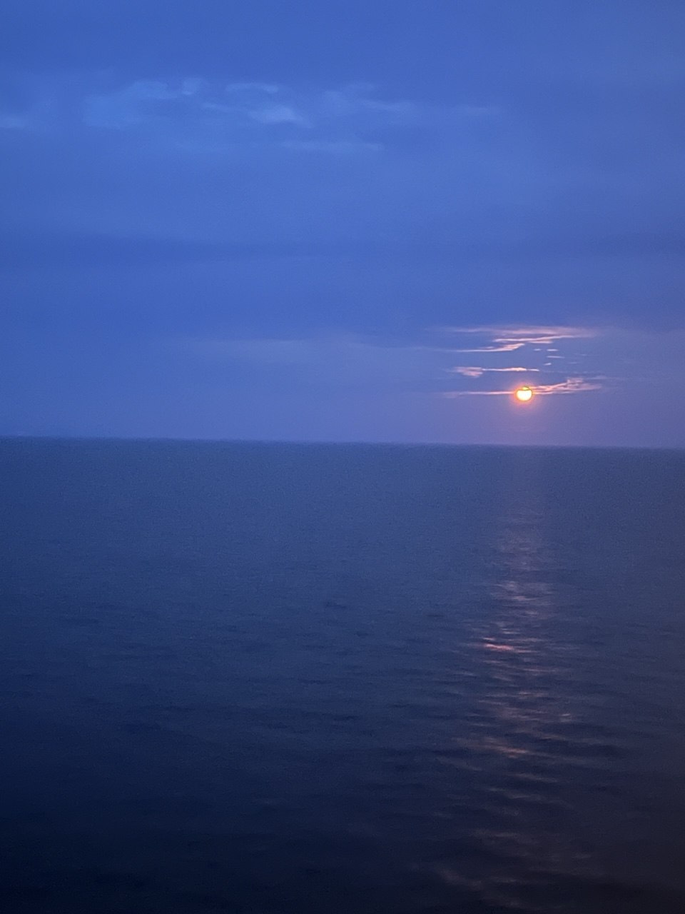 Reference image 1