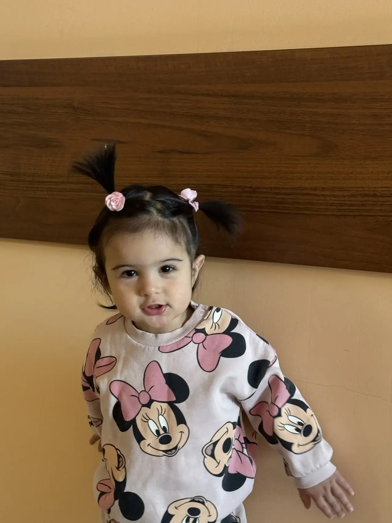 Mama Chicken — child photo for stylization