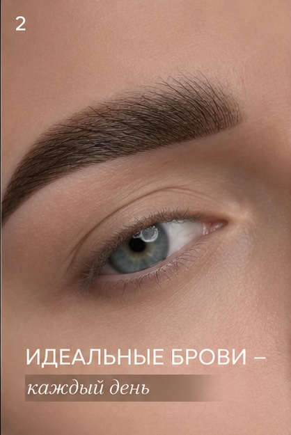 Reference image 1