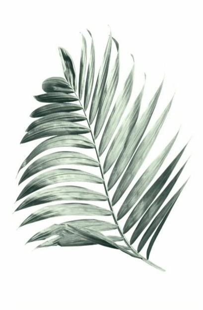 Reference image 1