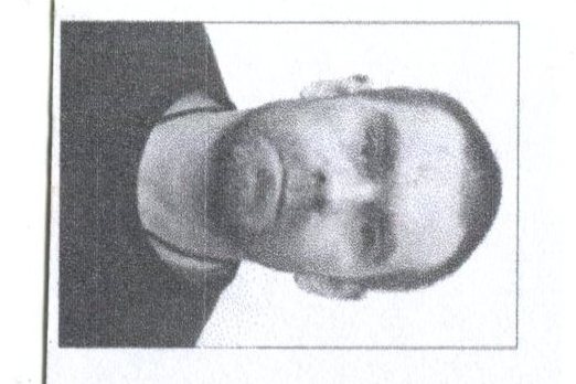 Reference image 1