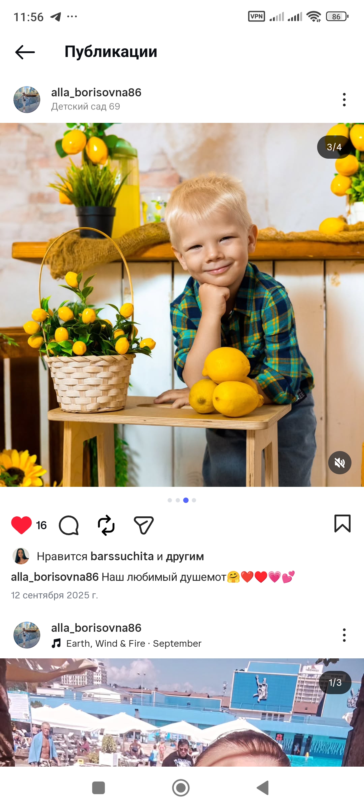 Mama Chicken — child photo for stylization