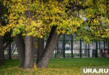 Штормовое предупреждение: Свердловскую область ожидает усиление ветра Свердловские зарисовки. Екатеринбург