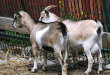 46bfa030-dfc3-49f2-9dff-84d0a2c65b26-677540a0