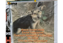 82d65523-0f24-4ef0-8245-8f42f6aeea6b-674baa46