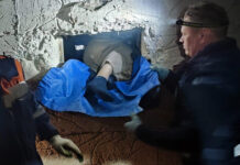 Спасательная операция в Подмосковье: женщину успешно извлекли из погреба e2f243b9-0c16-4c25-a8bd-0af50c1695be-676d7ce0