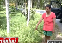 Драматичный инцидент в Таиланде: конфликт между женами обернулся трагедией e38811c6-9b3a-4c54-9674-a6528b6343fc-676408e2