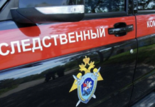 e488f742-ee11-4fda-b526-fe6abf6e8719-67531133