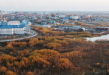 1ac633a7-0d30-494b-bd36-95a6e8ea5e56-67855ca7