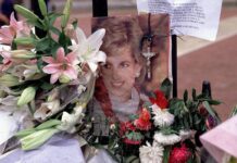 Трагическая случайность или роковое стечение обстоятельств: новые подробности гибели принцессы Дианы 38982f45-047f-4df5-bf5d-4049774fdd3d-6786b738