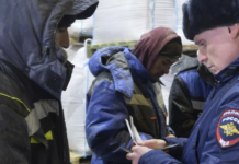 Масштабные результаты в борьбе с нарушениями миграционного законодательства d0644d59-4ea3-4d89-bc95-405be1666f87-678146c1