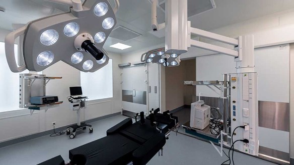 Фото: Максим Мишин, пресс-служба мэра и правительства Москвы / АГН "Москва"