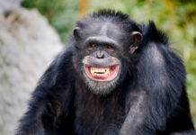 Захватывающие открытия в мире науки: итоги недели 5d23aea3-1102-4dea-8d4d-5053bd110153-67b386f0