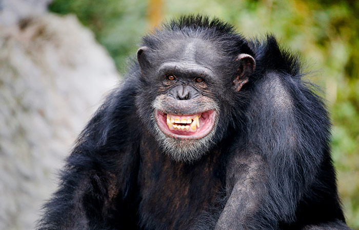 Что произошло в мире науки. Вечерний дайджест